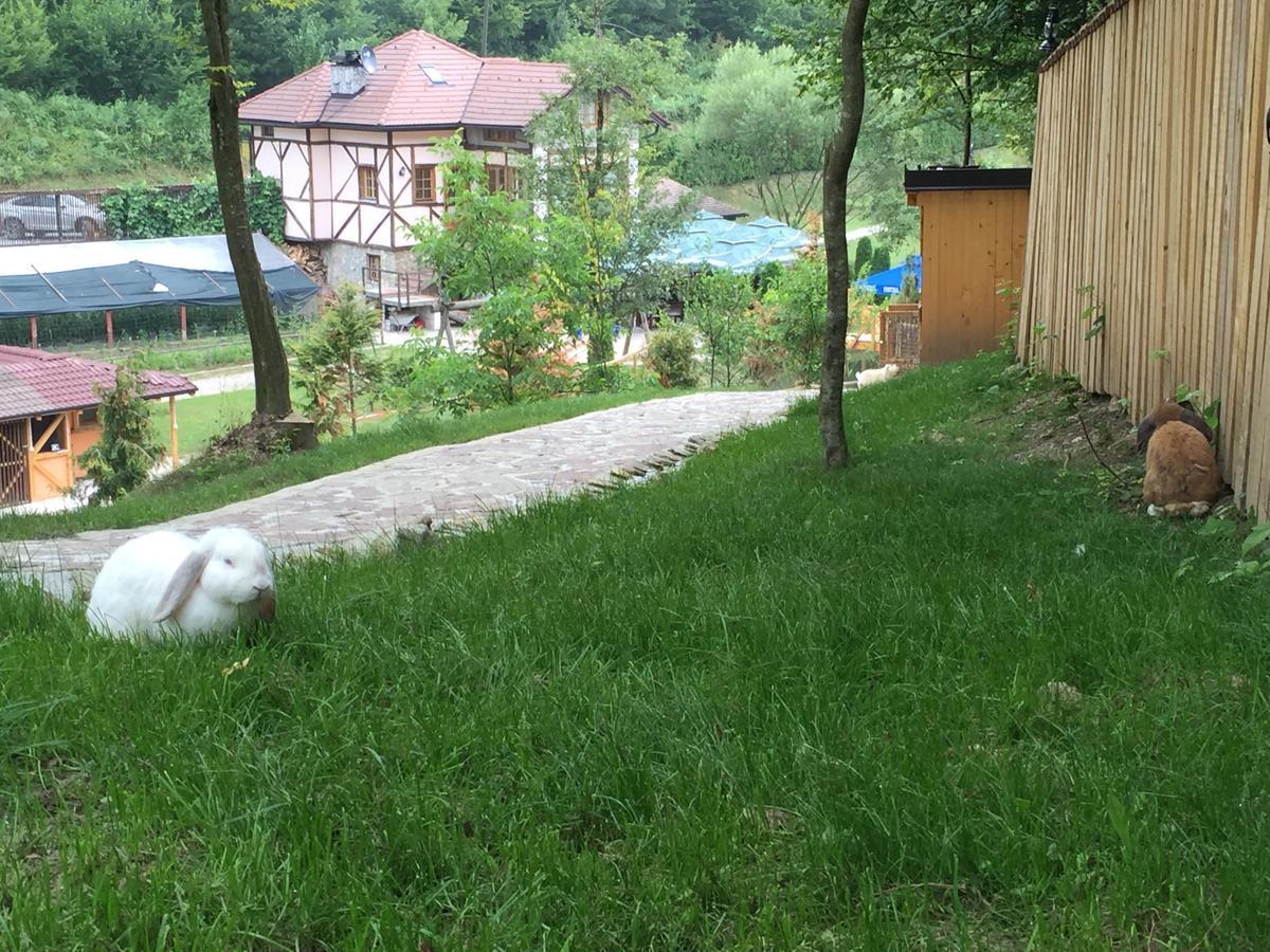 Motel "Kula" Cazin Bagian luar foto